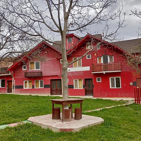 Pensiunea Irina 3 Зэрнешти Экстерьер фото