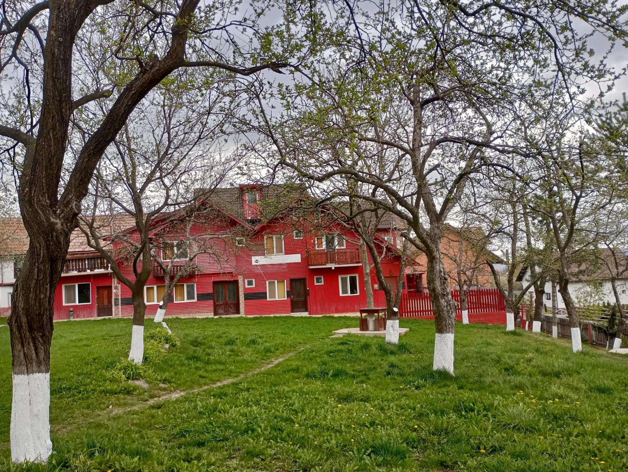 Pensiunea Irina 3 Зэрнешти Экстерьер фото
