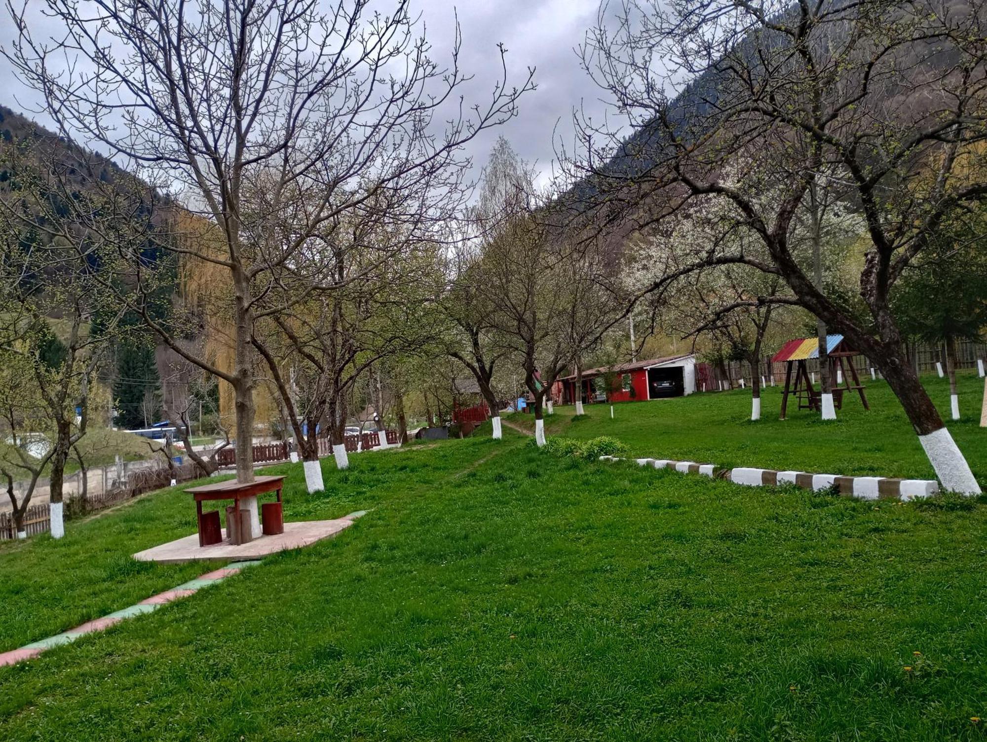 Pensiunea Irina 3 Зэрнешти Экстерьер фото